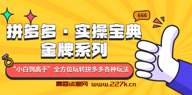 拼多多·实操宝典：金牌系列“小白到高手”带你全方位玩转拼多多各种玩法-晨露资源网