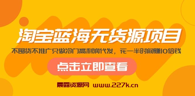 淘宝蓝海无货源项目，不囤货不推广只做冷门高利润代发，花一半时间赚10倍钱-晨露资源网