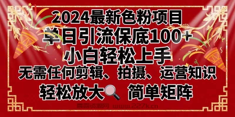 2024最新换脸项目，小白轻松上手，单号单月变现3W＋，可批量矩阵操作放大-晨露资源网