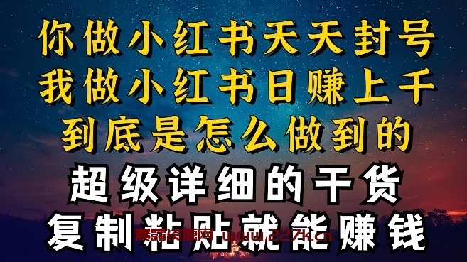 都知道小红书能引流私域变现，可为什么我能一天引流几十人变现上千，但你却频频封号违规被限流-晨露资源网