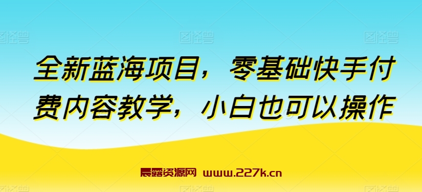 全新蓝海项目，零基础快手付费内容教学，小白也可以操作-晨露资源网