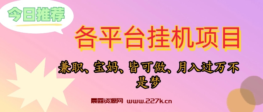 （10642期）靠挂机，在家躺平轻松月入过万，适合宝爸宝妈学生党，也欢迎工作室对接-晨露资源网